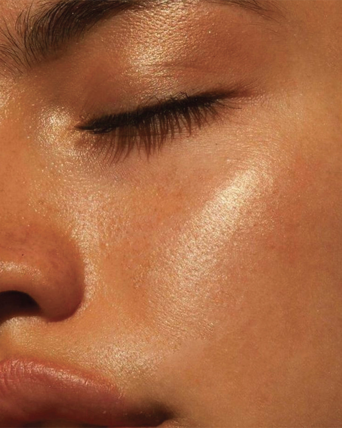 Regenerative Aesthetics